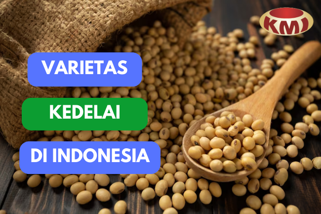 Eksploari Varietas Kedelai di Indonesia